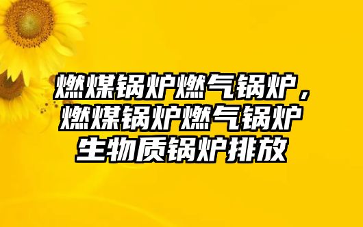 燃煤鍋爐燃氣鍋爐，燃煤鍋爐燃氣鍋爐生物質(zhì)鍋爐排放