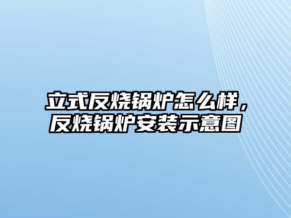 立式反燒鍋爐怎么樣，反燒鍋爐安裝示意圖