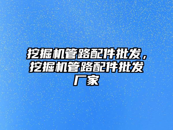 挖掘機管路配件批發(fā)，挖掘機管路配件批發(fā)廠家