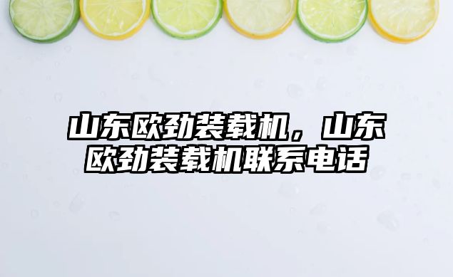 山東歐勁裝載機(jī)，山東歐勁裝載機(jī)聯(lián)系電話