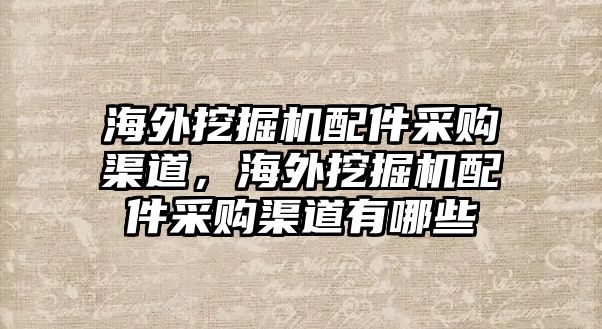 海外挖掘機(jī)配件采購渠道，海外挖掘機(jī)配件采購渠道有哪些