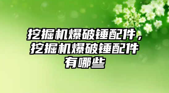 挖掘機爆破錘配件，挖掘機爆破錘配件有哪些