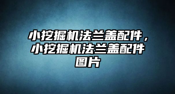 小挖掘機法蘭蓋配件，小挖掘機法蘭蓋配件圖片