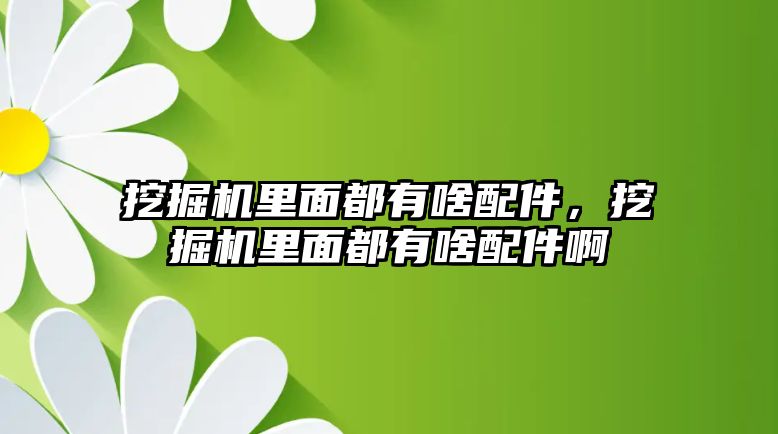 挖掘機里面都有啥配件，挖掘機里面都有啥配件啊