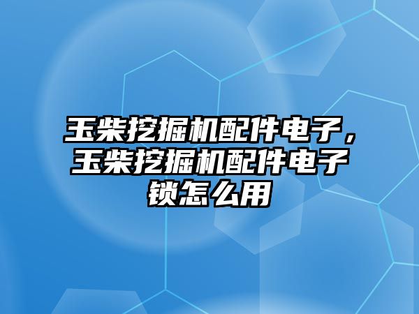 玉柴挖掘機(jī)配件電子，玉柴挖掘機(jī)配件電子鎖怎么用