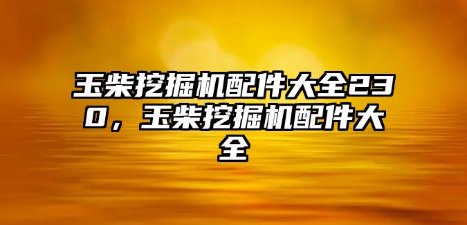 玉柴挖掘機配件大全230，玉柴挖掘機配件大全