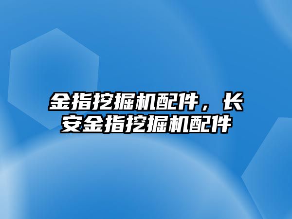 金指挖掘機配件，長安金指挖掘機配件