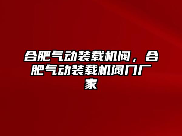 合肥氣動裝載機閥，合肥氣動裝載機閥門廠家