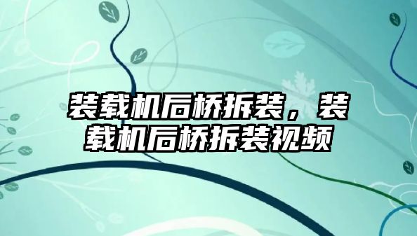 裝載機后橋拆裝，裝載機后橋拆裝視頻