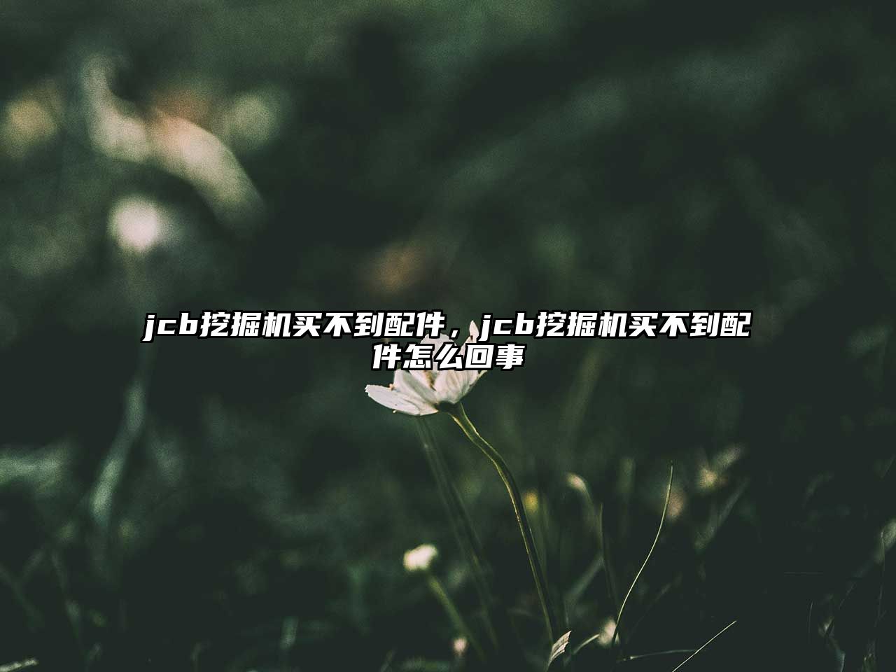 jcb挖掘機(jī)買(mǎi)不到配件，jcb挖掘機(jī)買(mǎi)不到配件怎么回事