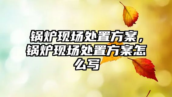 鍋爐現(xiàn)場(chǎng)處置方案，鍋爐現(xiàn)場(chǎng)處置方案怎么寫