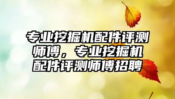 專業(yè)挖掘機配件評測師傅，專業(yè)挖掘機配件評測師傅招聘