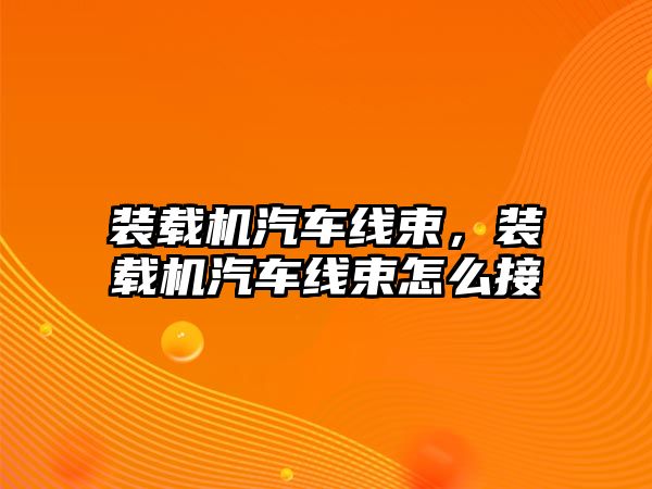 裝載機汽車線束，裝載機汽車線束怎么接