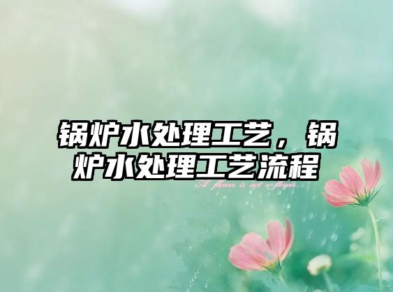 鍋爐水處理工藝，鍋爐水處理工藝流程