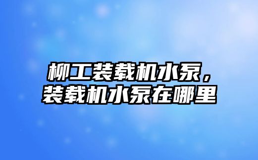 柳工裝載機水泵，裝載機水泵在哪里