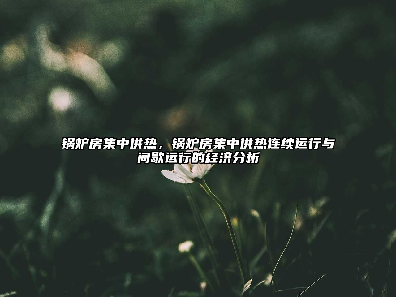 鍋爐房集中供熱，鍋爐房集中供熱連續(xù)運行與間歇運行的經(jīng)濟(jì)分析