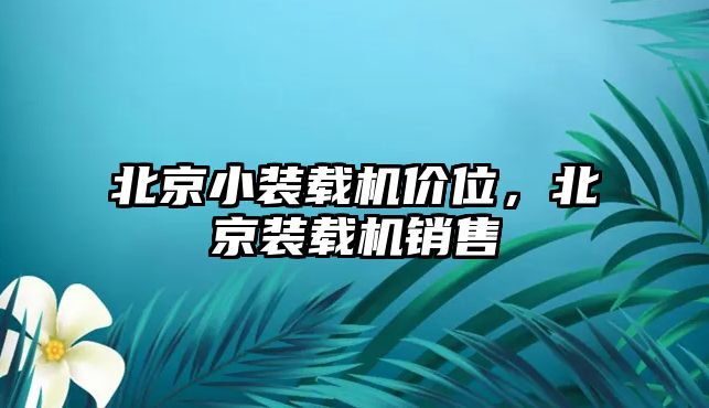 北京小裝載機(jī)價(jià)位，北京裝載機(jī)銷售