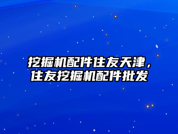 挖掘機配件住友天津，住友挖掘機配件批發(fā)