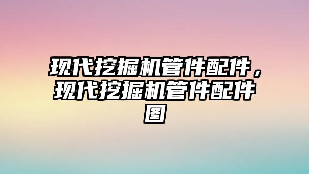 現(xiàn)代挖掘機管件配件，現(xiàn)代挖掘機管件配件圖