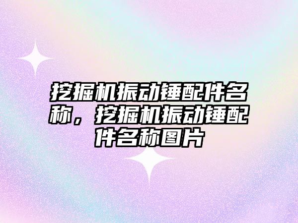 挖掘機振動錘配件名稱，挖掘機振動錘配件名稱圖片