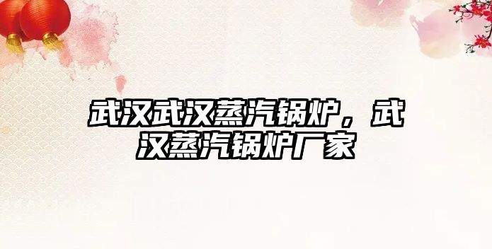 武漢武漢蒸汽鍋爐，武漢蒸汽鍋爐廠(chǎng)家