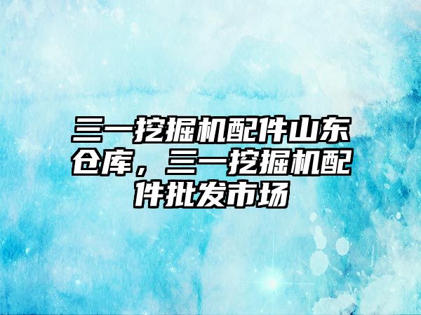 三一挖掘機配件山東倉庫，三一挖掘機配件批發(fā)市場