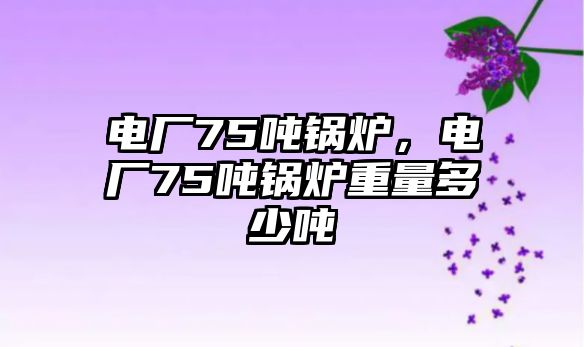 電廠75噸鍋爐，電廠75噸鍋爐重量多少噸