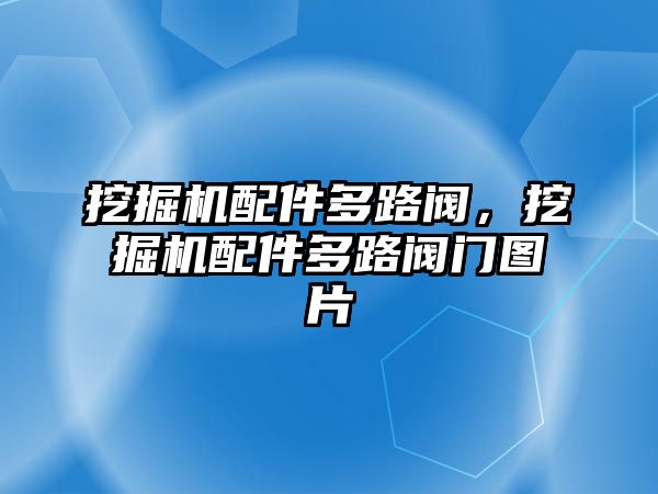 挖掘機(jī)配件多路閥，挖掘機(jī)配件多路閥門圖片