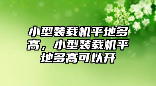 小型裝載機平地多高，小型裝載機平地多高可以開