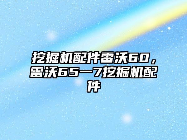 挖掘機(jī)配件雷沃60，雷沃65一7挖掘機(jī)配件