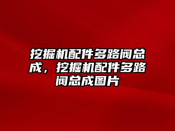 挖掘機(jī)配件多路閥總成，挖掘機(jī)配件多路閥總成圖片