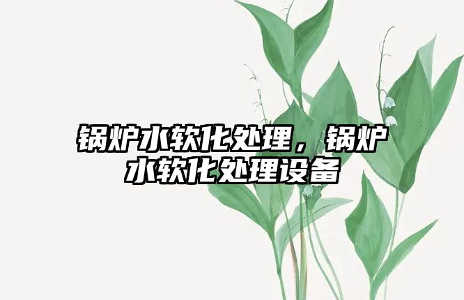 鍋爐水軟化處理，鍋爐水軟化處理設(shè)備