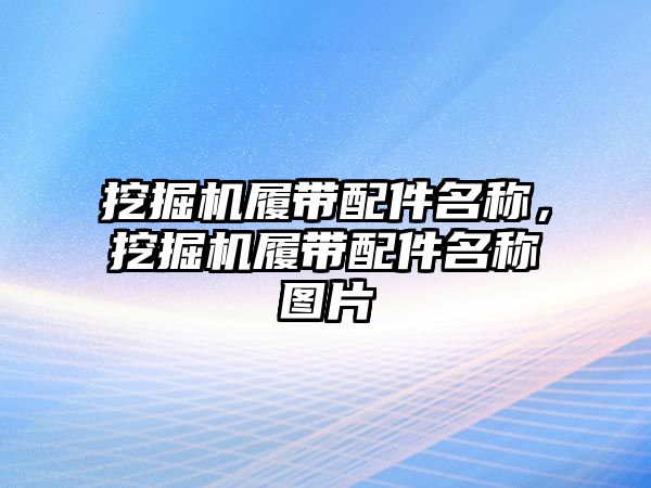 挖掘機履帶配件名稱，挖掘機履帶配件名稱圖片