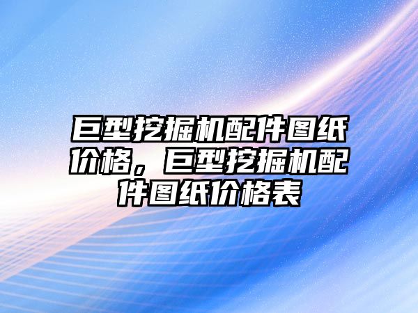 巨型挖掘機配件圖紙價格，巨型挖掘機配件圖紙價格表