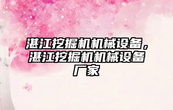 湛江挖掘機機械設備，湛江挖掘機機械設備廠家