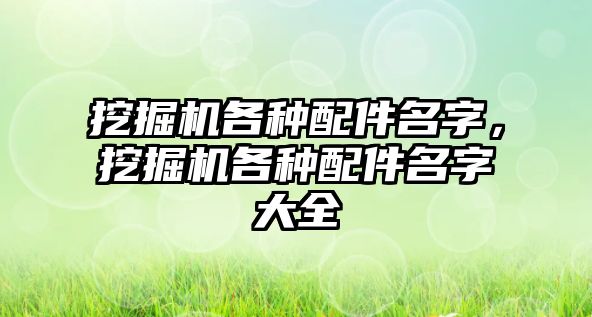 挖掘機各種配件名字，挖掘機各種配件名字大全