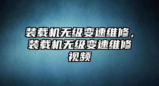 裝載機無級變速維修，裝載機無級變速維修視頻