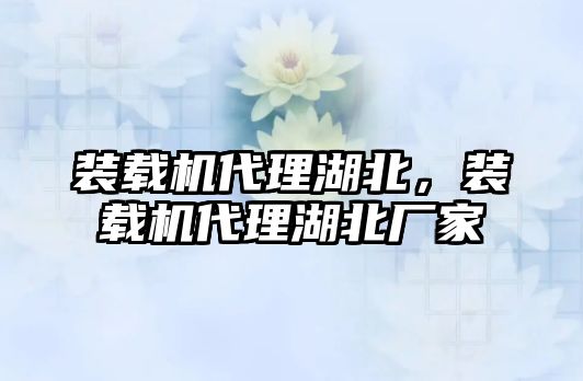 裝載機(jī)代理湖北，裝載機(jī)代理湖北廠家