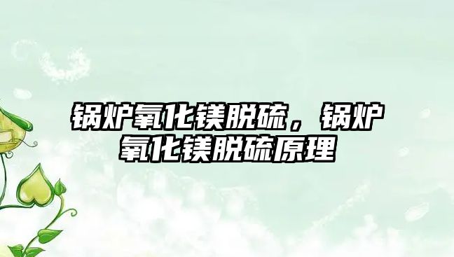 鍋爐氧化鎂脫硫，鍋爐氧化鎂脫硫原理