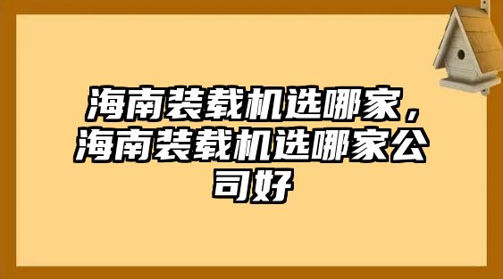 海南裝載機選哪家，海南裝載機選哪家公司好