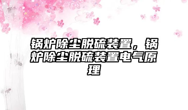 鍋爐除塵脫硫裝置，鍋爐除塵脫硫裝置電氣原理