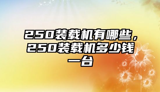 250裝載機有哪些，250裝載機多少錢一臺