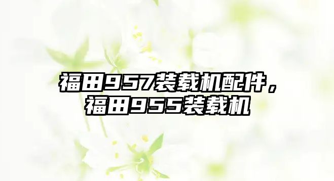 福田957裝載機(jī)配件，福田955裝載機(jī)