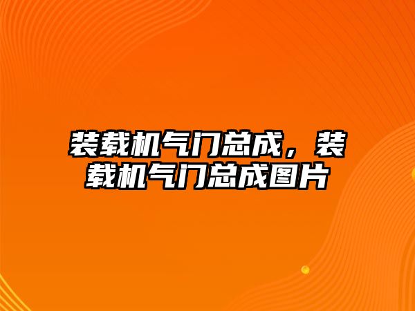 裝載機氣門總成，裝載機氣門總成圖片