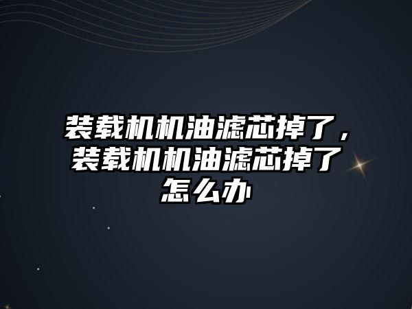 裝載機機油濾芯掉了，裝載機機油濾芯掉了怎么辦