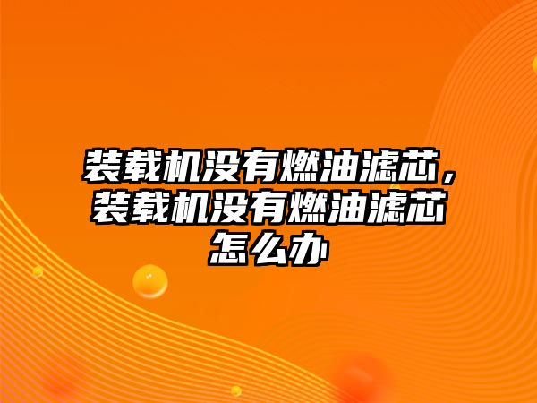 裝載機沒有燃油濾芯，裝載機沒有燃油濾芯怎么辦