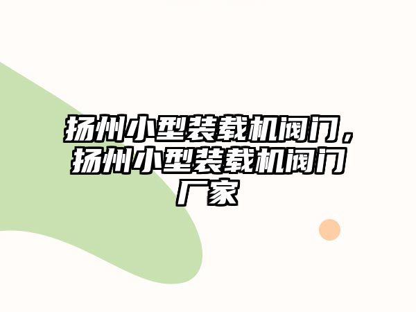 揚州小型裝載機閥門，揚州小型裝載機閥門廠家