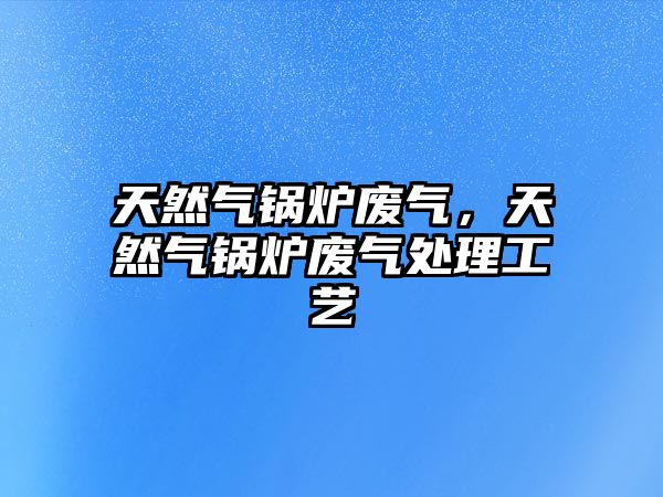 天然氣鍋爐廢氣，天然氣鍋爐廢氣處理工藝