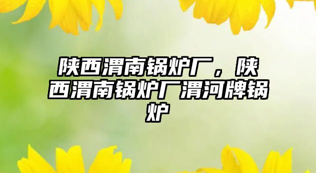 陜西渭南鍋爐廠，陜西渭南鍋爐廠渭河牌鍋爐