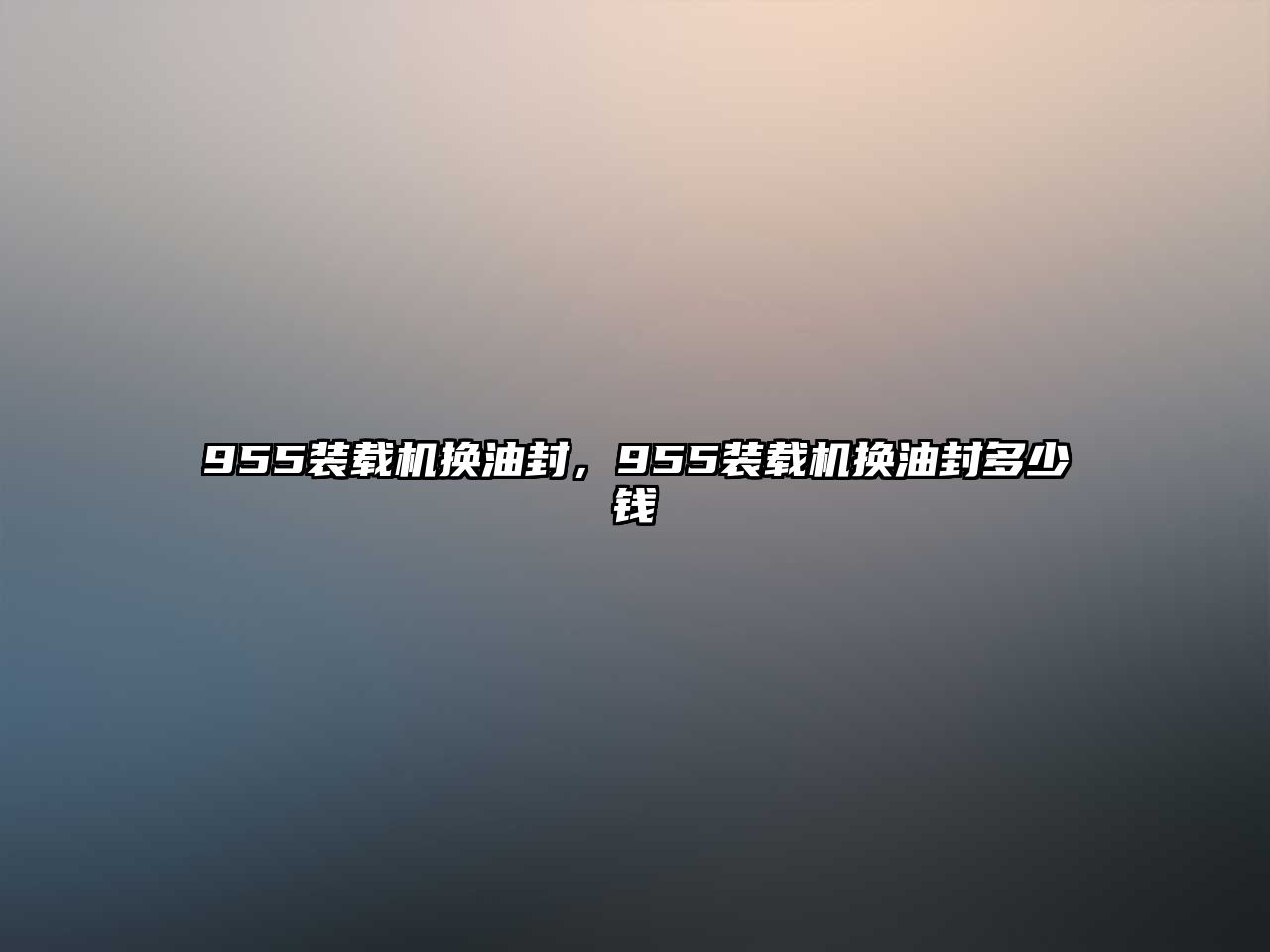 955裝載機(jī)換油封，955裝載機(jī)換油封多少錢(qián)